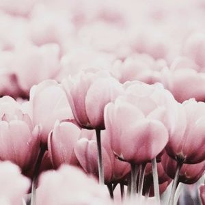 Meet your Posher, Mlle